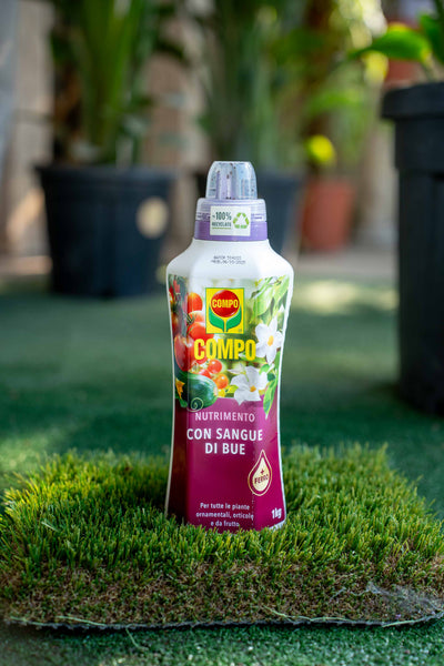 Nutrimento Sangue di Bue 1 L