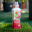 Concime Rose 1 L
