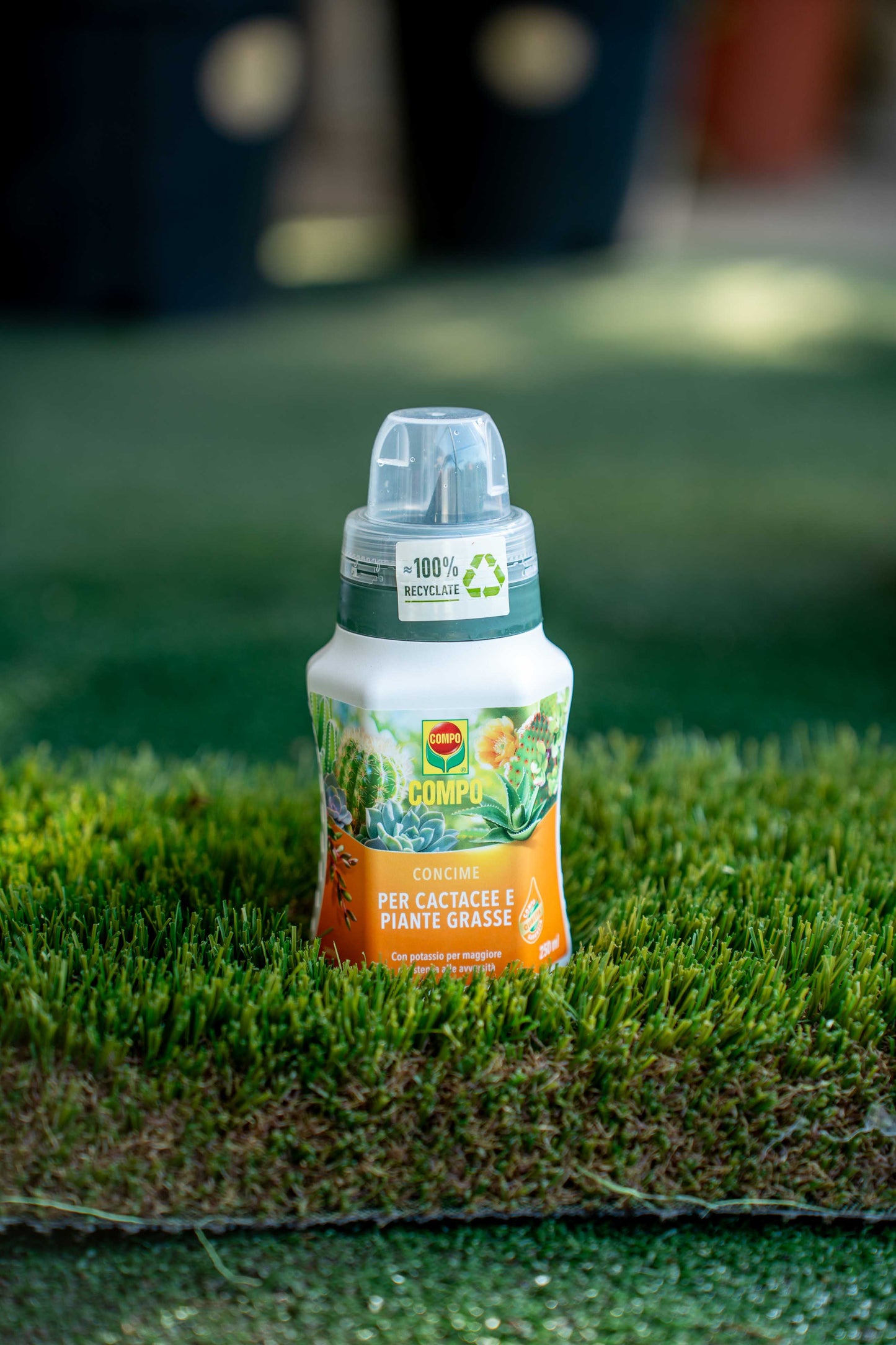 Concime Cactacee 250 ml