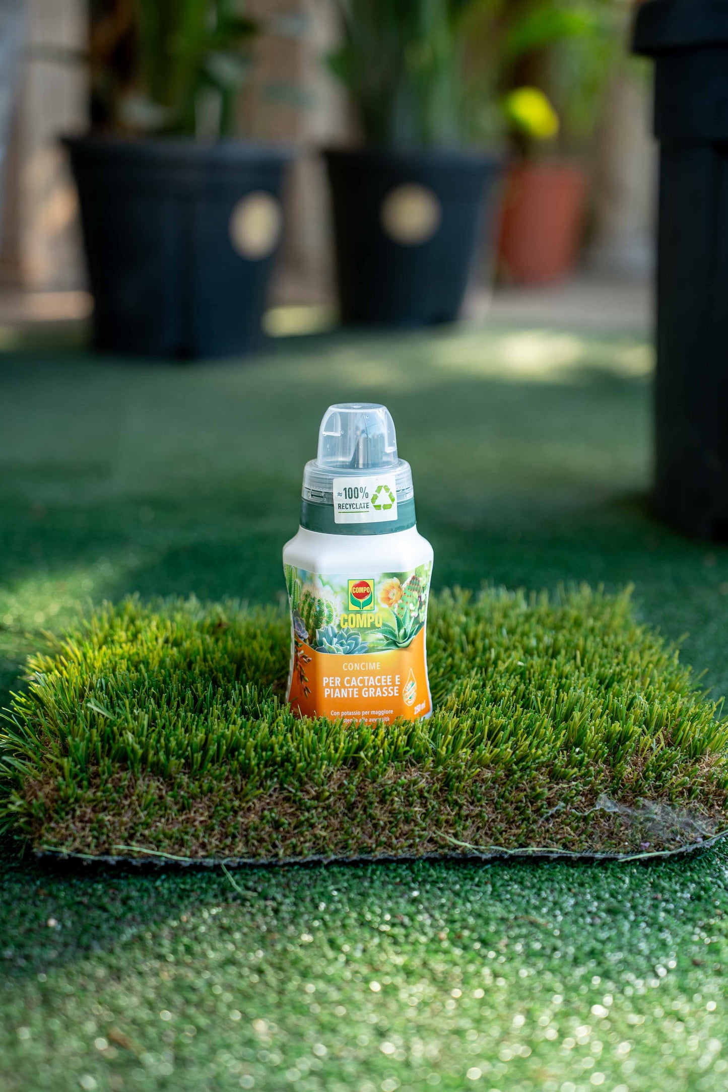 Concime Cactacee 250 ml