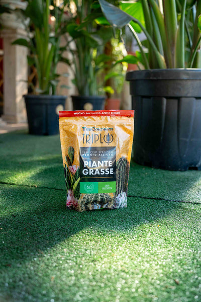 Terriccio Piante grasse 1.5lt