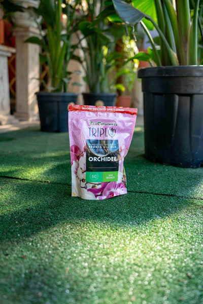 Terriccio Orchidee 1.5lt
