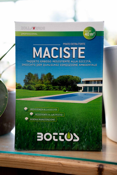 Bottos Maciste – Sementi per Prato Resistente a Siccità e Calpestio