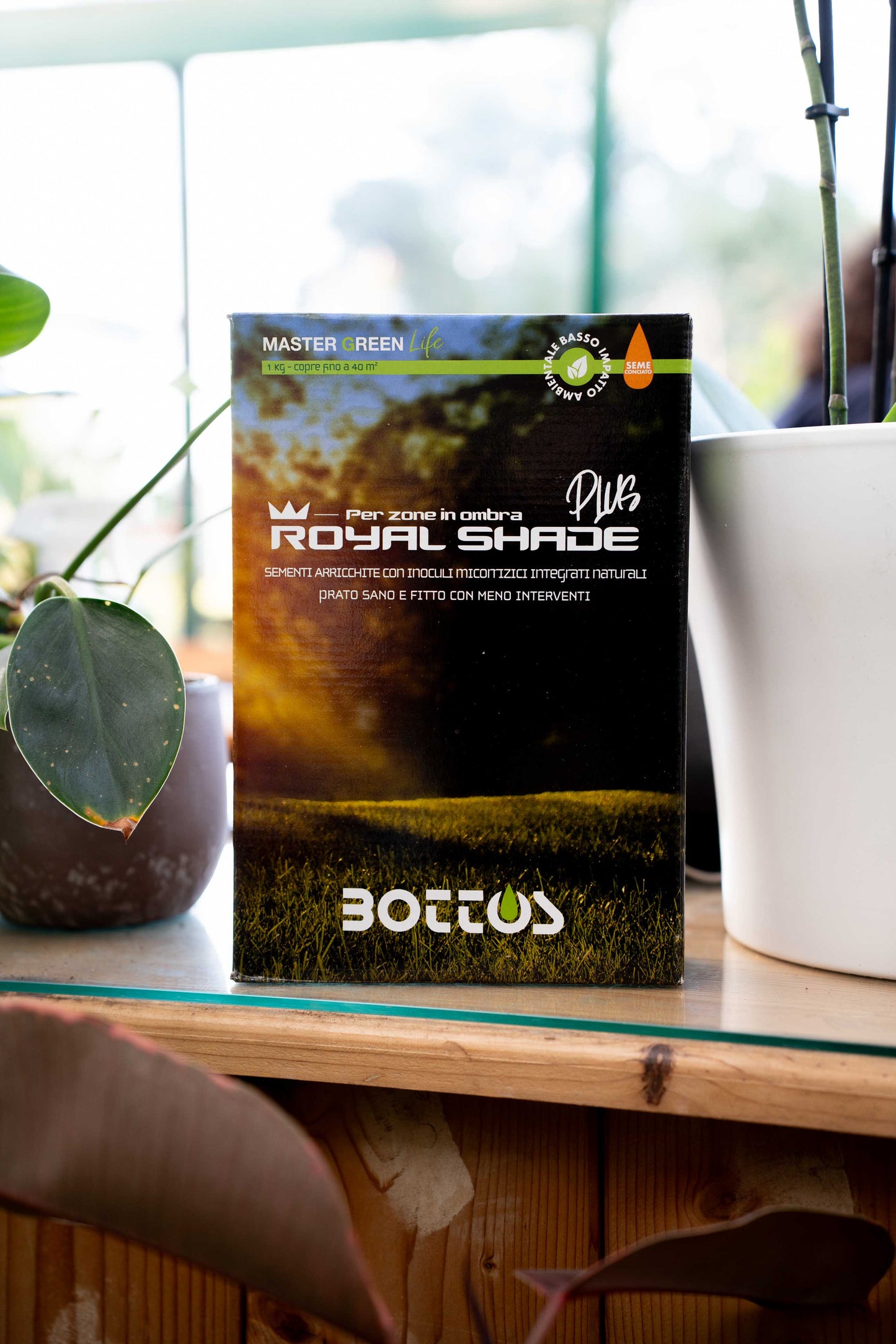 Bottos Royal Shade – Sementi per Prato in Ombra, Verde Scuro – 1 kg