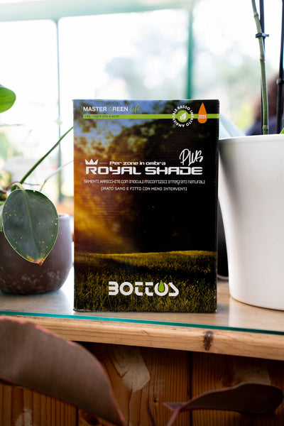 Bottos Royal Shade – Sementi per Prato in Ombra, Verde Scuro – 1 kg