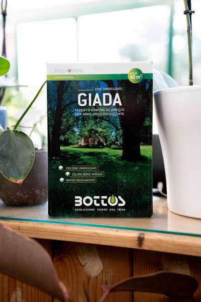 Bottos Giada – Sementi per Prato Ombreggiato, Tessitura Fine – 1 kg