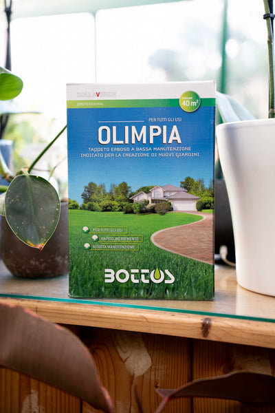 Bottos Olimpia – Sementi per Prato a Bassa Manutenzione, Ombra/Sole