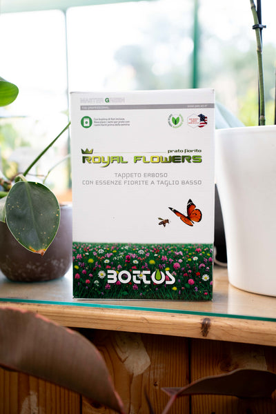 Bottos Royal Flowers – Sementi per Prato Fiorito a Bassa Manutenzione – 1 kg