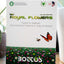 Bottos Royal Flowers – Sementi per Prato Fiorito a Bassa Manutenzione – 1 kg