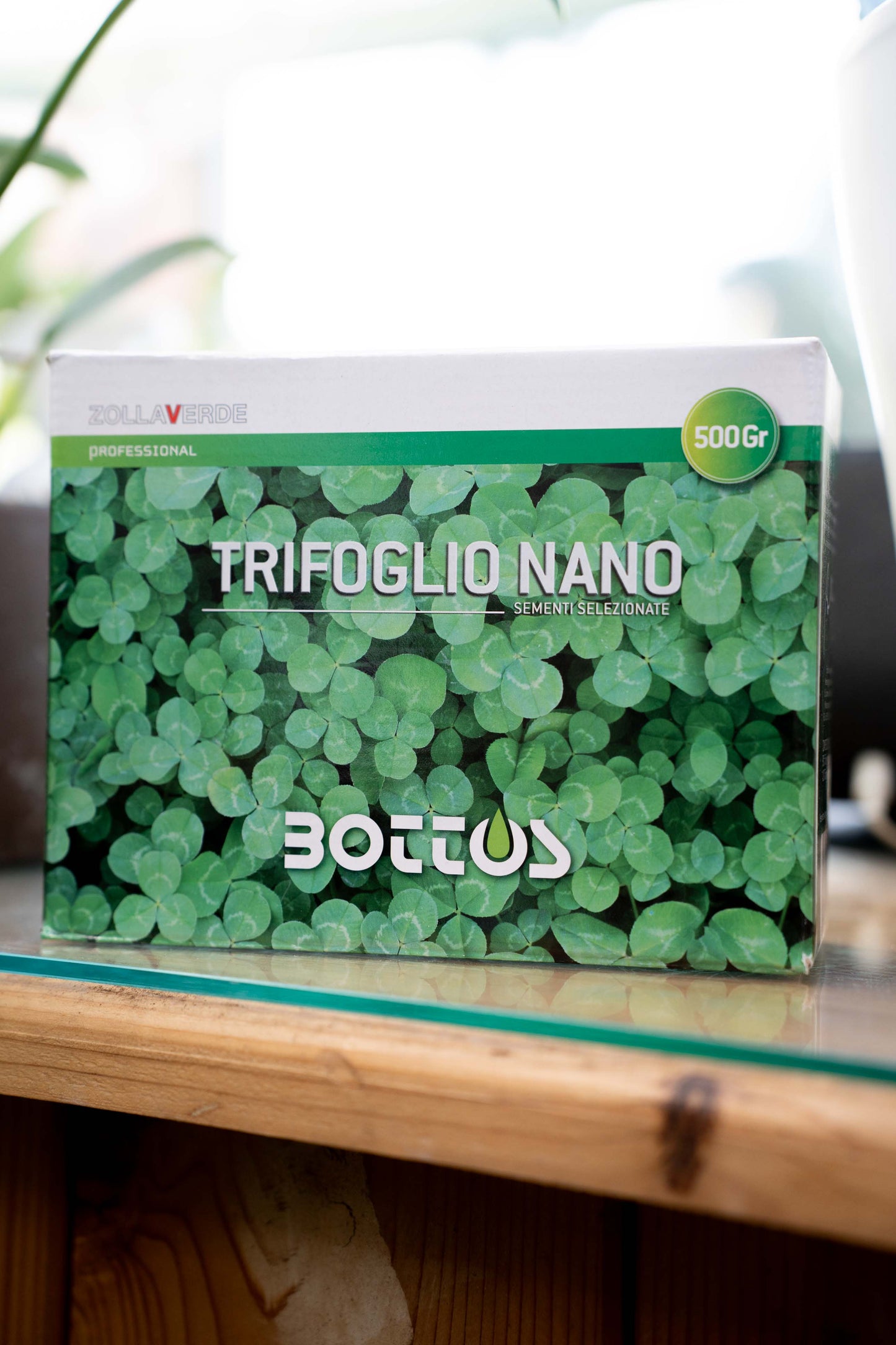 Bottos Trifoglio Nano – Sementi Tappezzanti per Prato Senza Taglio