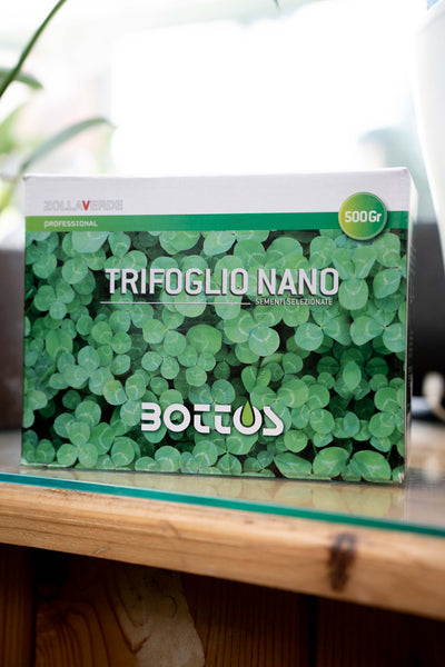 Bottos Trifoglio Nano – Sementi Tappezzanti per Prato Senza Taglio
