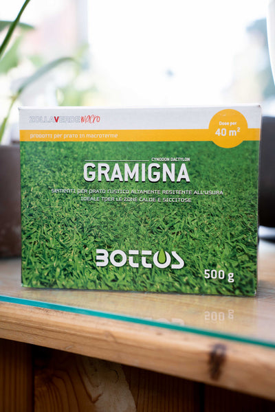 Bottos Gramigna (Cynodon Dactylon) – Sementi Macroterme per Climi Caldi – 500 g