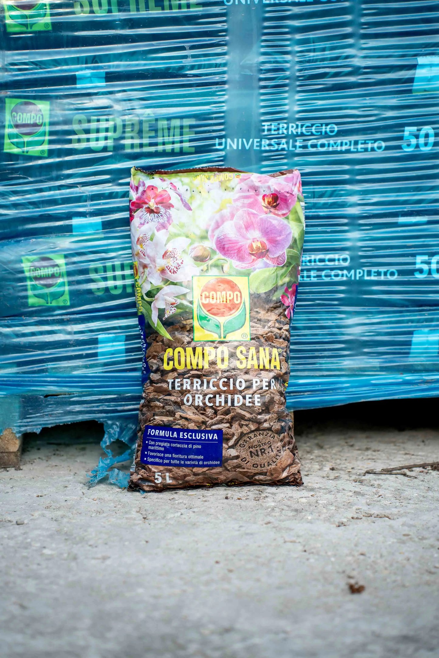 Terriccio Compo Orchidee 5 litri