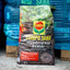 Terriccio Compo Bonsai 5 litri
