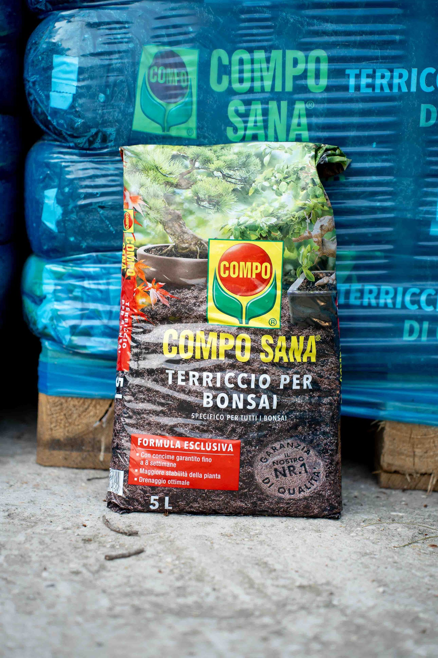 Terriccio Compo Bonsai 5 litri