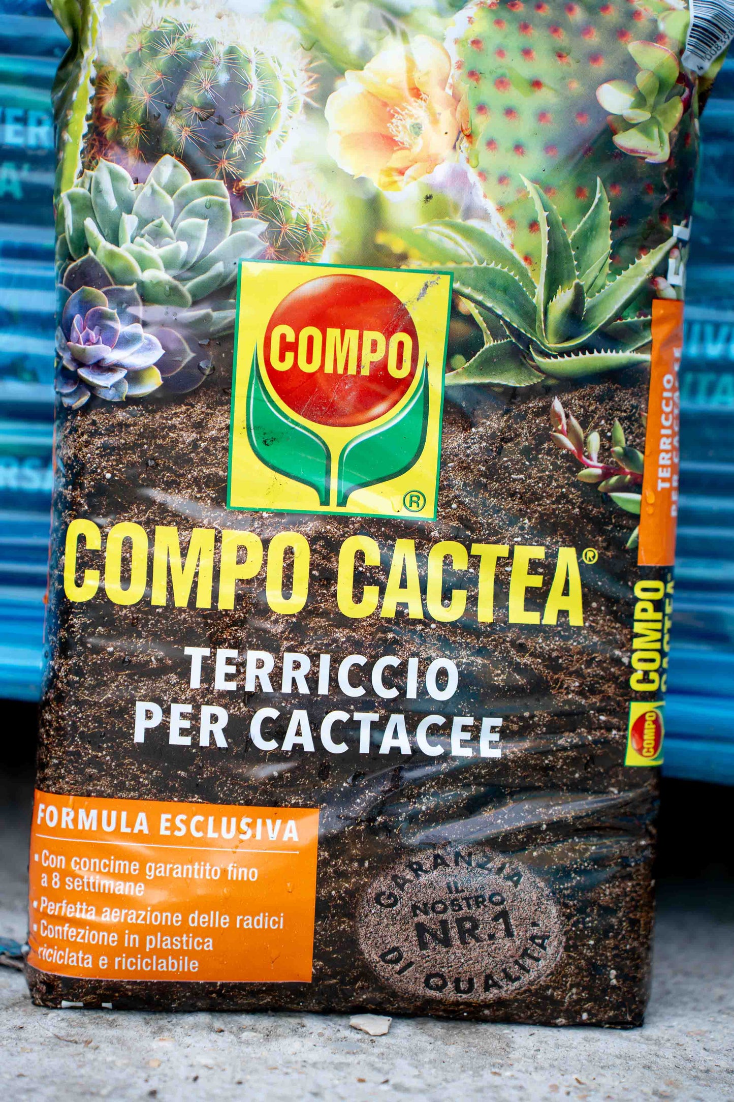 Terriccio Compo Cactacee 5 litri