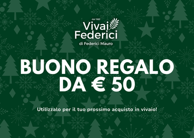 Buono Regalo Natale 2025