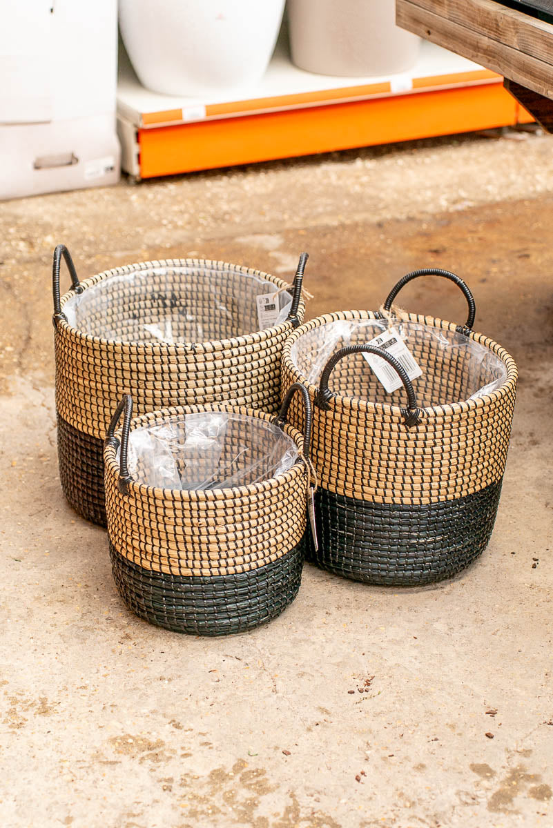 Coprivaso Scheurich 515 PLANTER NATURE