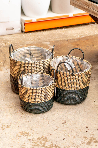 Coprivaso Scheurich 515 PLANTER NATURE