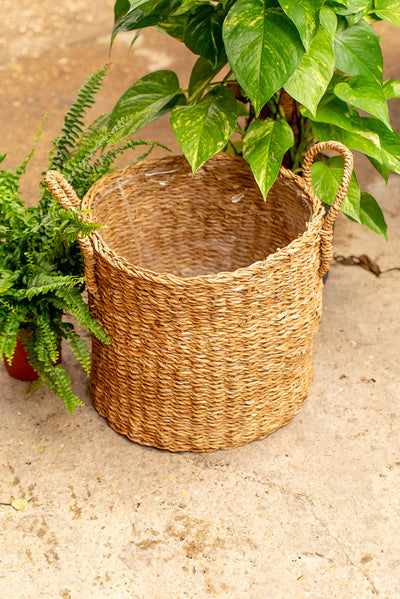 Coprivaso Scheurich 516 PLANTER