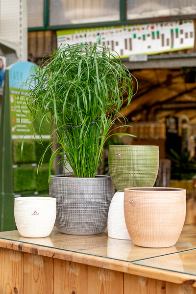 Coprivaso Scheurich 866 COVER-POT