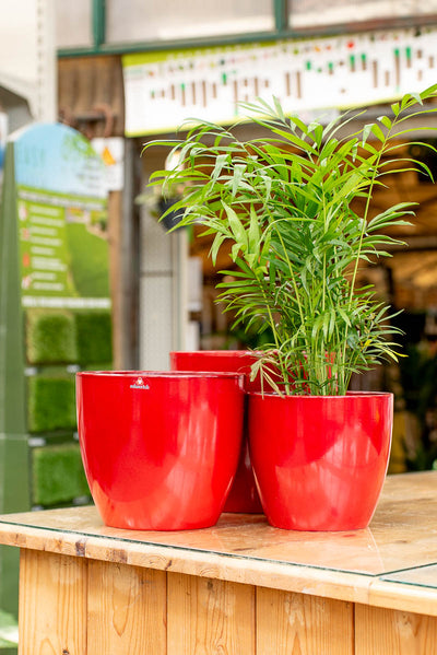 Coprivaso Scheurich 920 COVER-POT