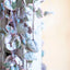 Ceropegia Woodi Variegata