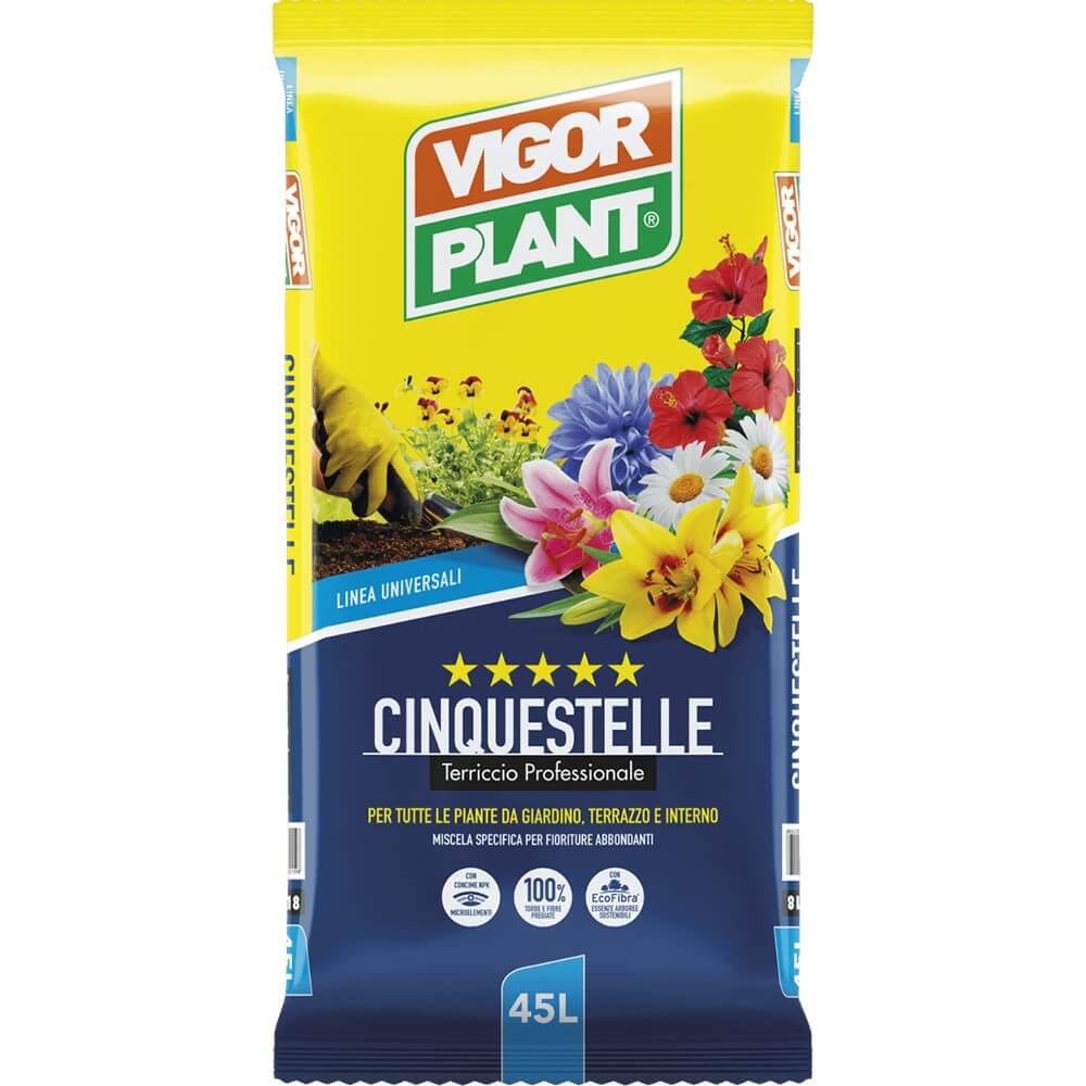 Cinquestelle