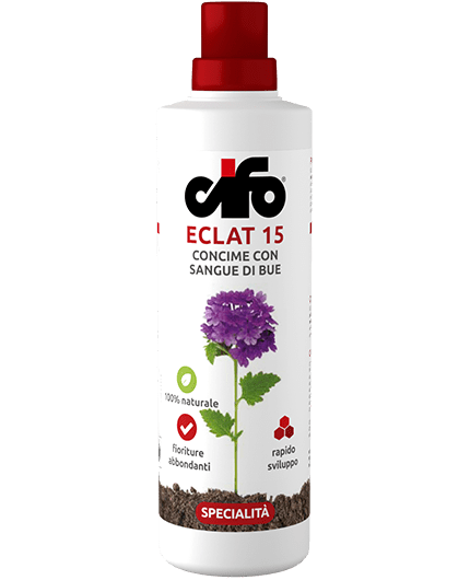 Eclat 15 - Concime con sangue di bue