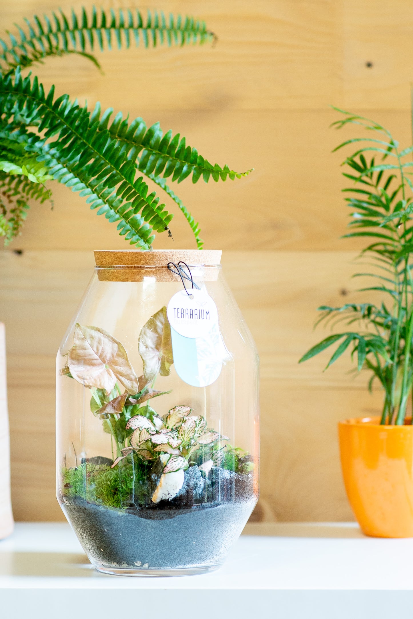 Terrarium botte