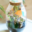 Terrarium botte