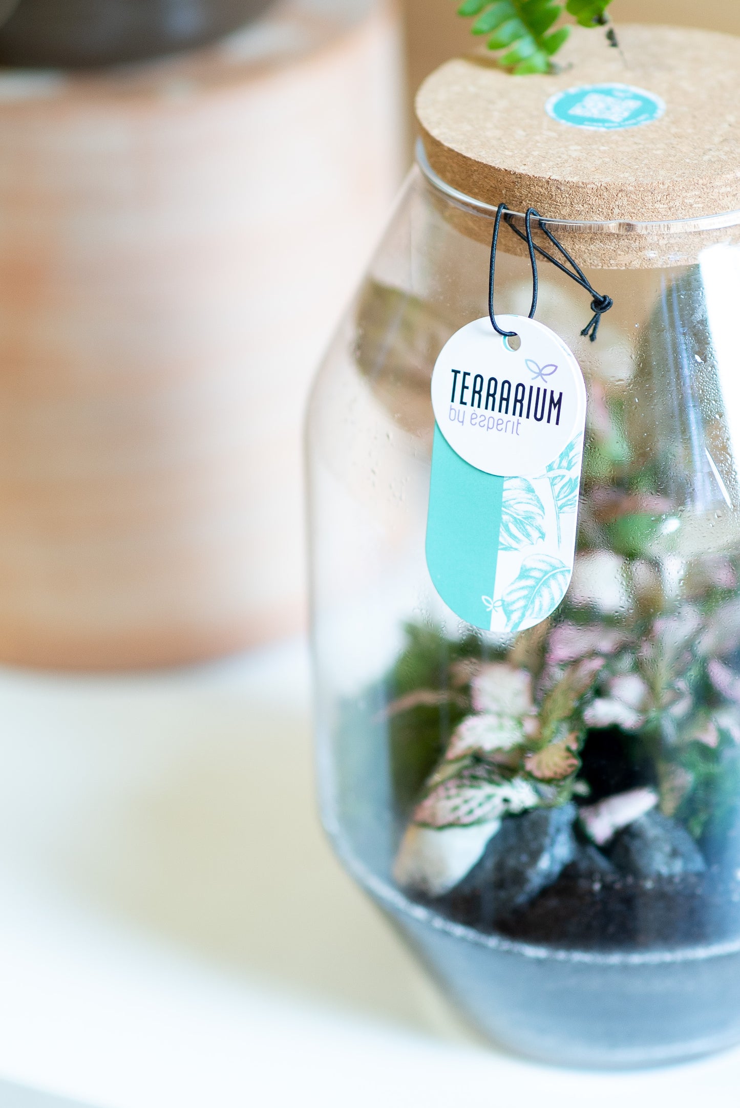 Terrarium botte