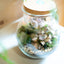 Terrarium brocca