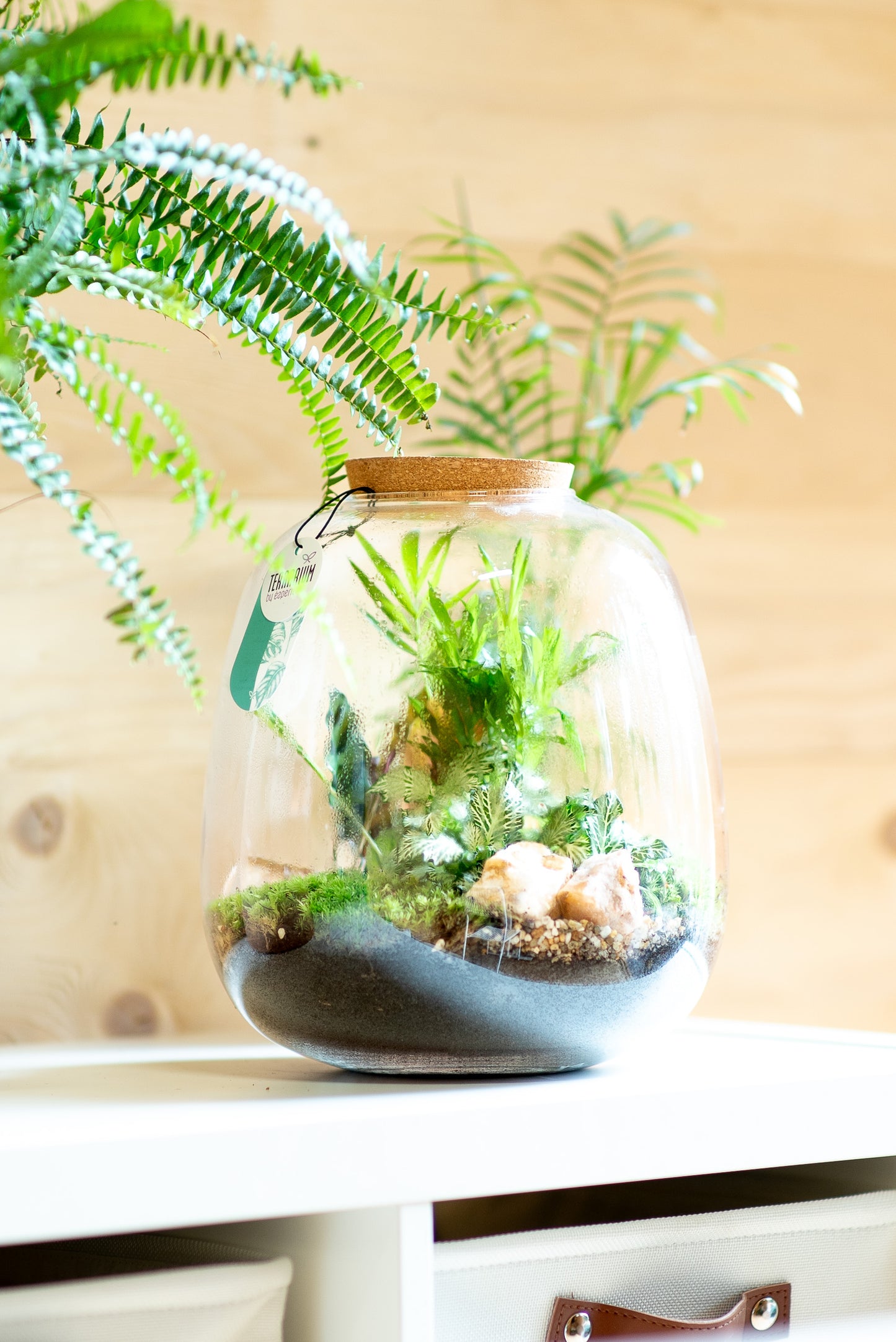 Terrarium otre