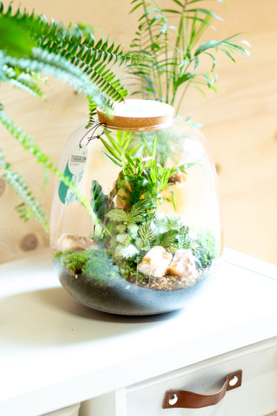 Terrarium otre