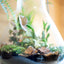 Terrarium beuta