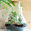 Terrarium beuta