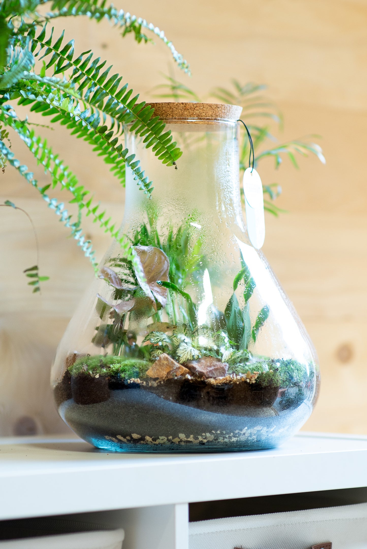 Terrarium beuta