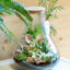 Terrarium beuta