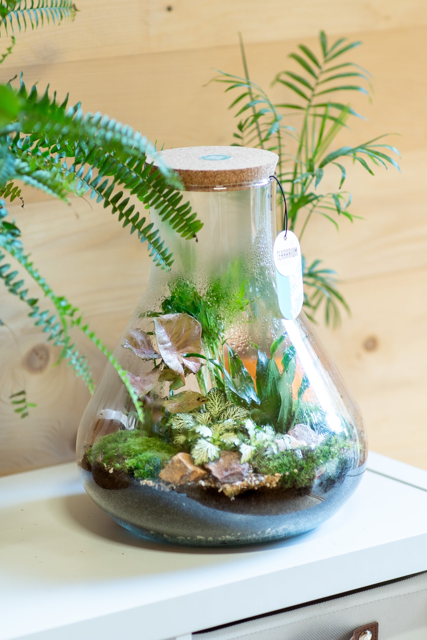 Terrarium beuta