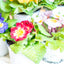 Primula