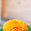 Calendula