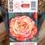 Rosa Variegata Di Barni
