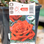 Rosa Velvet Alibi
