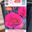 Rosa Wanda Ferragamo