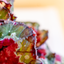 Begonia Rex
