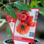 Pomodoro Marmande