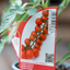 Pomodoro Ciliegino Dolce