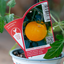 Pomodoro Tondo Giallo