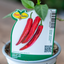 Peperone Red Devil